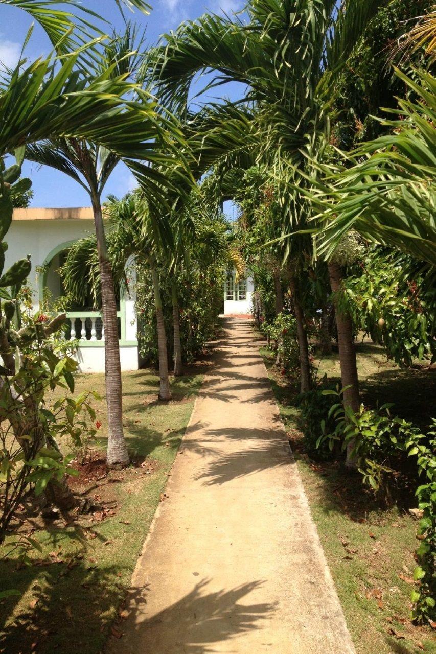 Hidden Paradise Resort Hotel Negril Kültér fotó